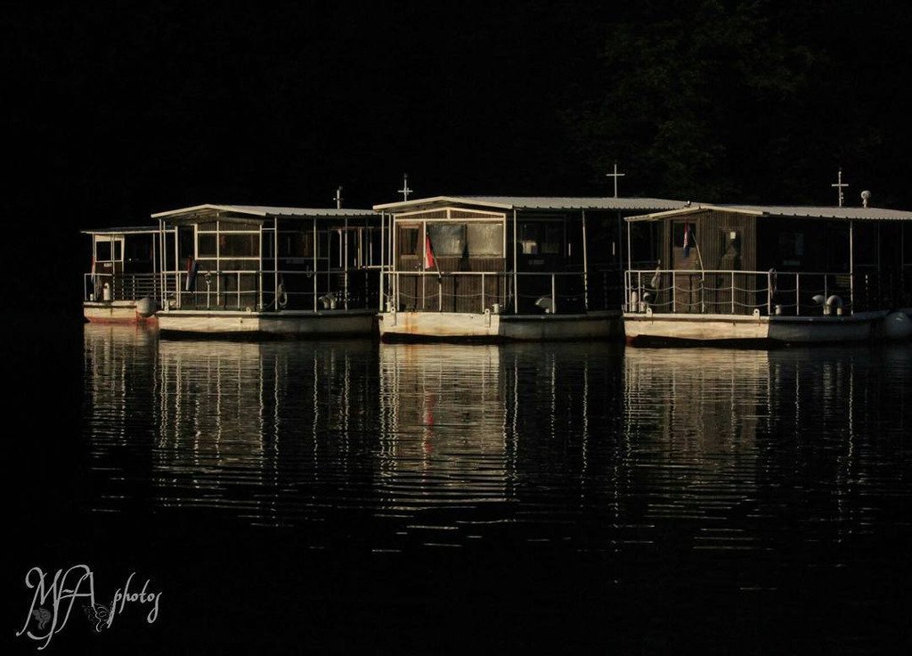 thescriptbible's tweet photo. This was one of my favourite shots from the holiday. We were sitting on the boat when I spotted the line of the ot… https://t.co/EgoberJKlR https://t.co/CiI5bPNeKi