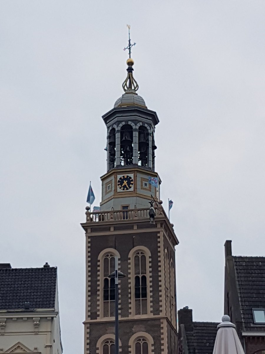 De Koe in de toren voor de Hanze dagen.