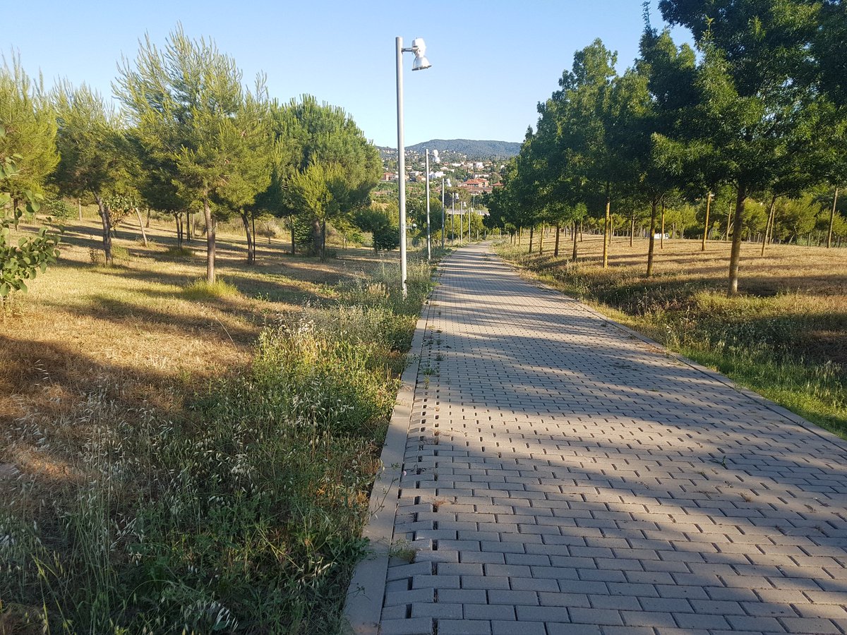 beatet13's tweet photo. #vilesflorides i #cunetesfloridss @totsantcugat @ajsantcugat https://t.co/toiIfVN2uL