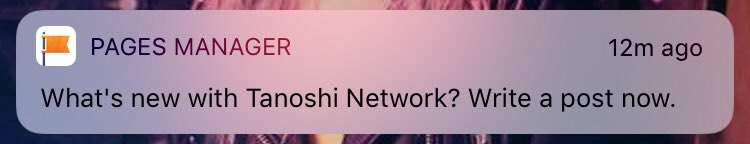 TanoshiNetwork's tweet image. Not a lot