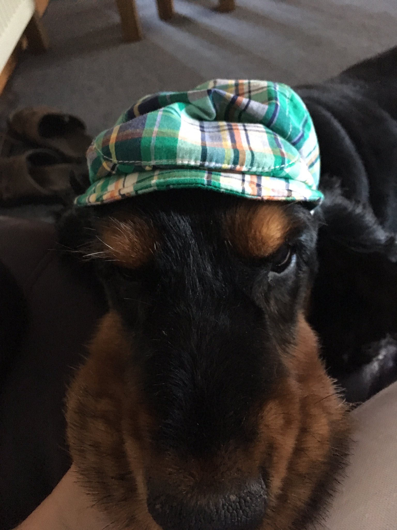  wish Jackie Stewart a happy birthday Luis is wearing his hat!!! 