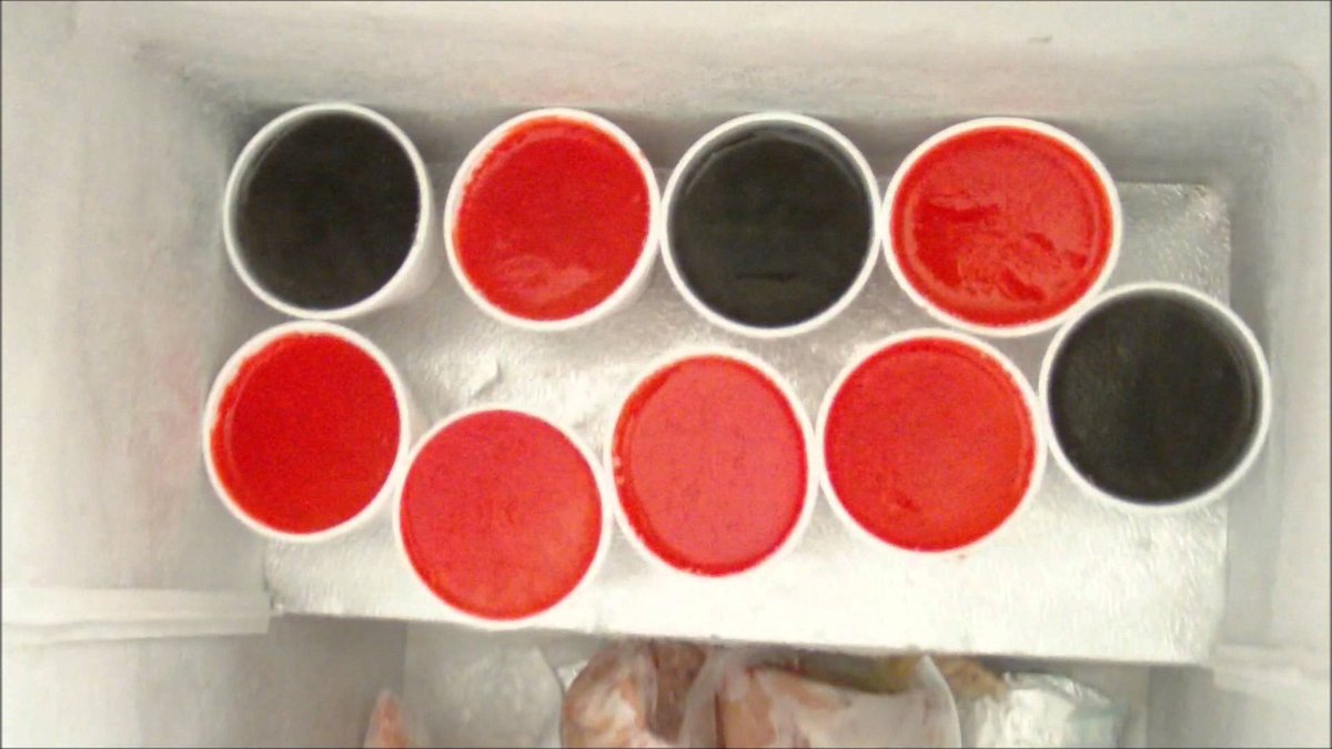 trillbabytay's tweet photo. #Growingupblack everyone had the candy lady in they hood to cop a "freezie cup" https://t.co/MWw6NNVuCK