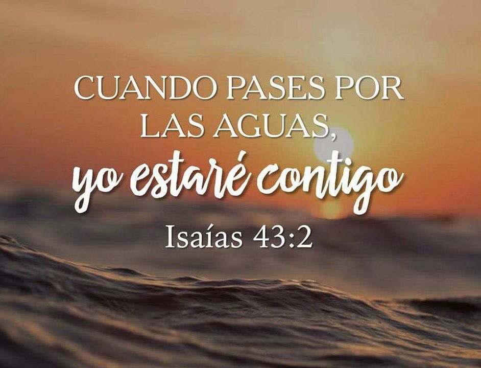 edwin_soydeCris's tweet photo. @becky21784501 @Ida_Aurora @CARMENMARAESPIN @FloreTHALY @espinalg25 @merienoqueli Dios te bendiga! Qué bueno que ya estés de regreso por acá. Cuídate mucho amiga! Dios tiene el control de todo☝️🙌 https://t.co/Mvz2ydG3zn