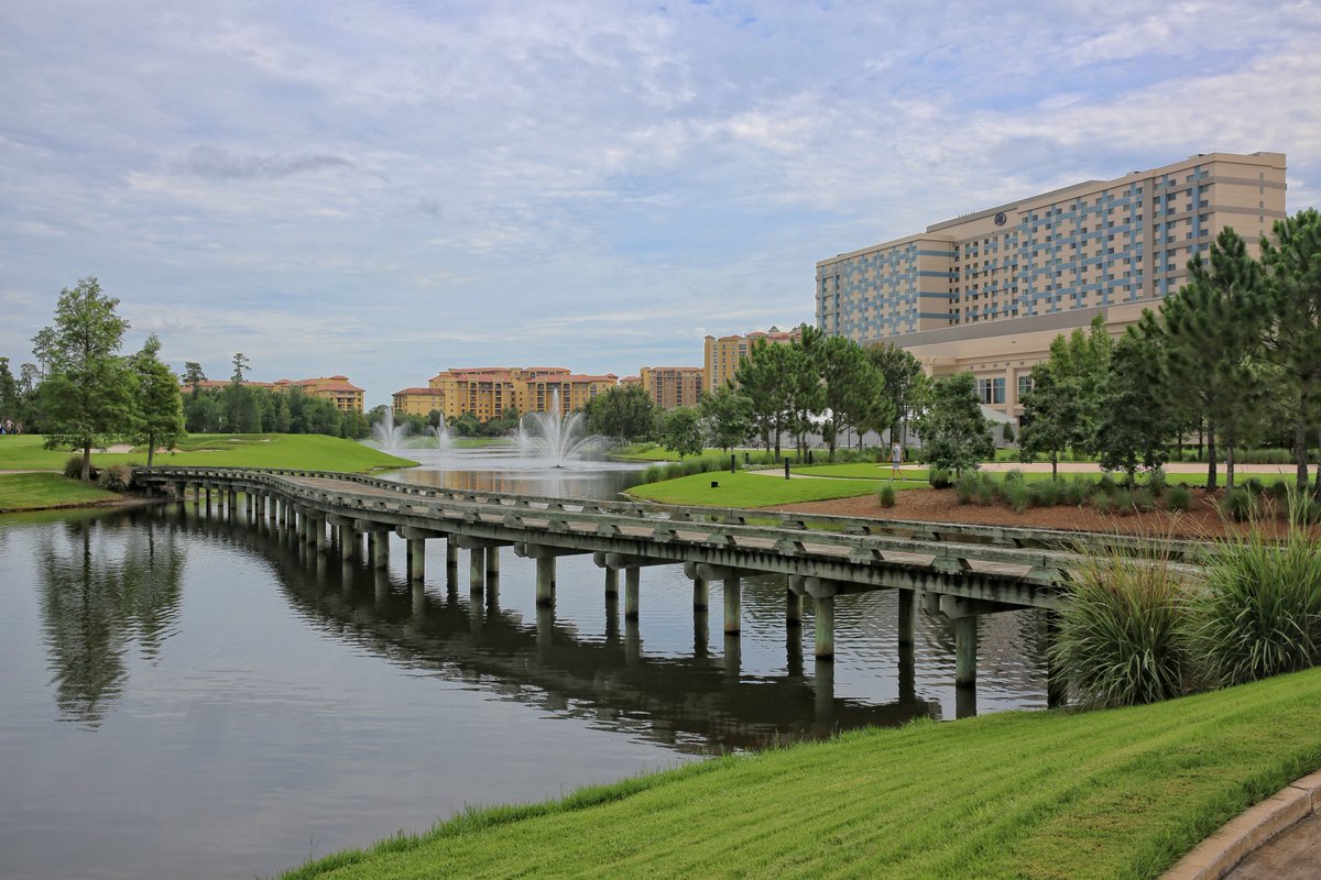 proimagesphoto's tweet photo. What a great #golf course you have @BonnetCreek & @waldororlando awesome views. #golfing #orlando #golfing #travel #sun #floridasnake https://t.co/FmwQdkgS0H