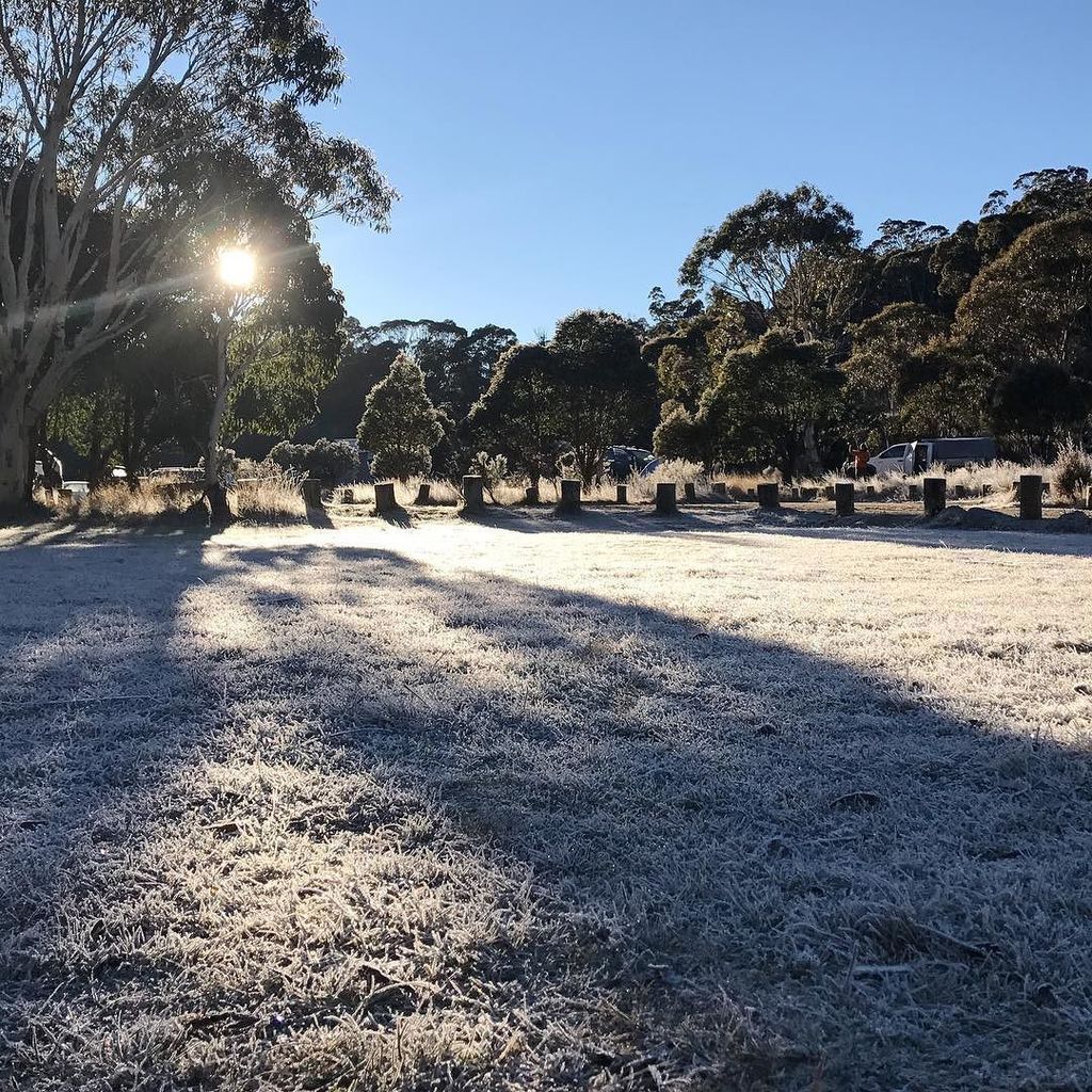 amberginja's tweet photo. Frosty mornings at Mt Kosciusko https://t.co/W5Z1U0MmxN https://t.co/BlR5A6Cppw