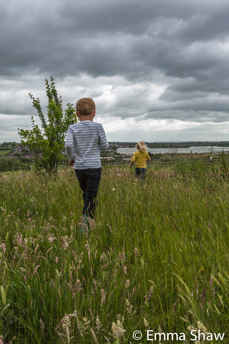 ESh_Photography's tweet photo. Great efforts for todays clean up @StaffordshireCC @apedaleheritage greatly beneficial for resident wildlife &amp; visiting public!#LitterPick https://t.co/x5cejHIpnn