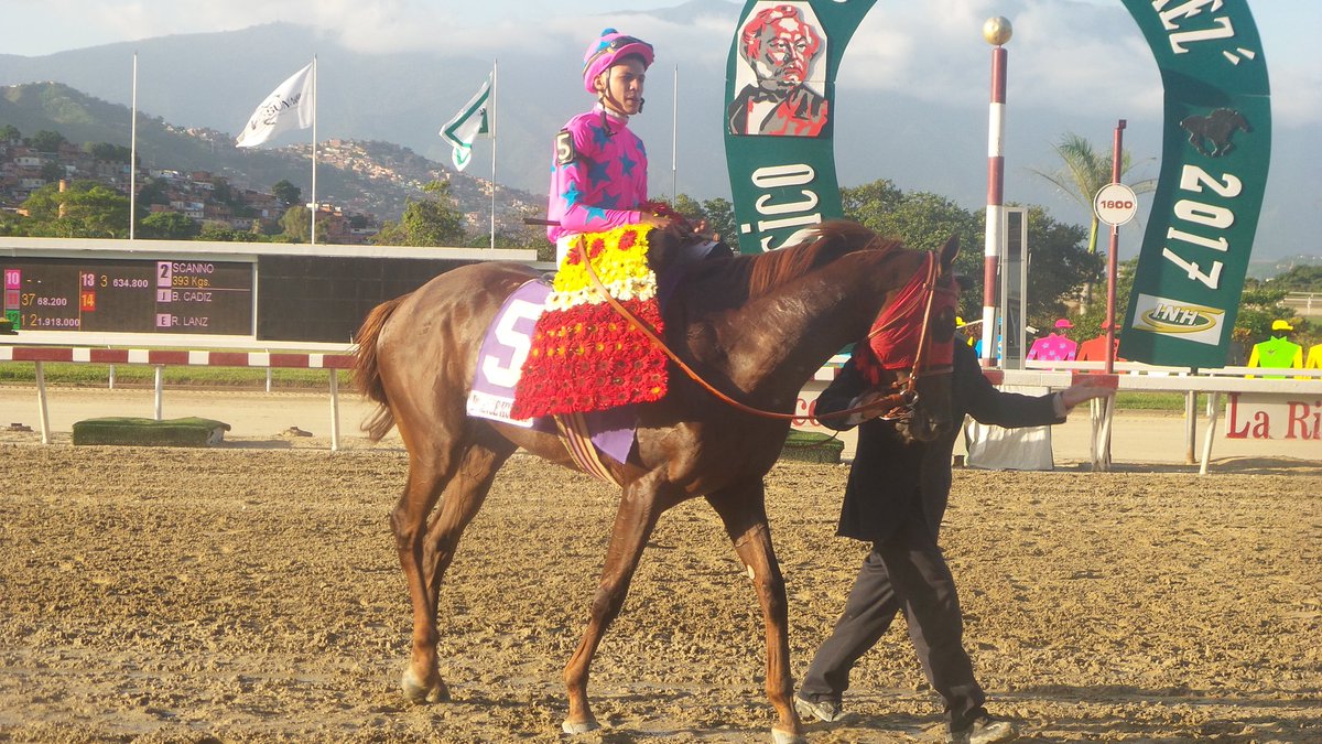 OficialINH's tweet photo. El caballo PRINCE HUMOR presentado por R. D'Angelo y conducido por C. Gil triunfó de gran forma en el #ClásJoséAntonioPáez https://t.co/qe88dimWJT