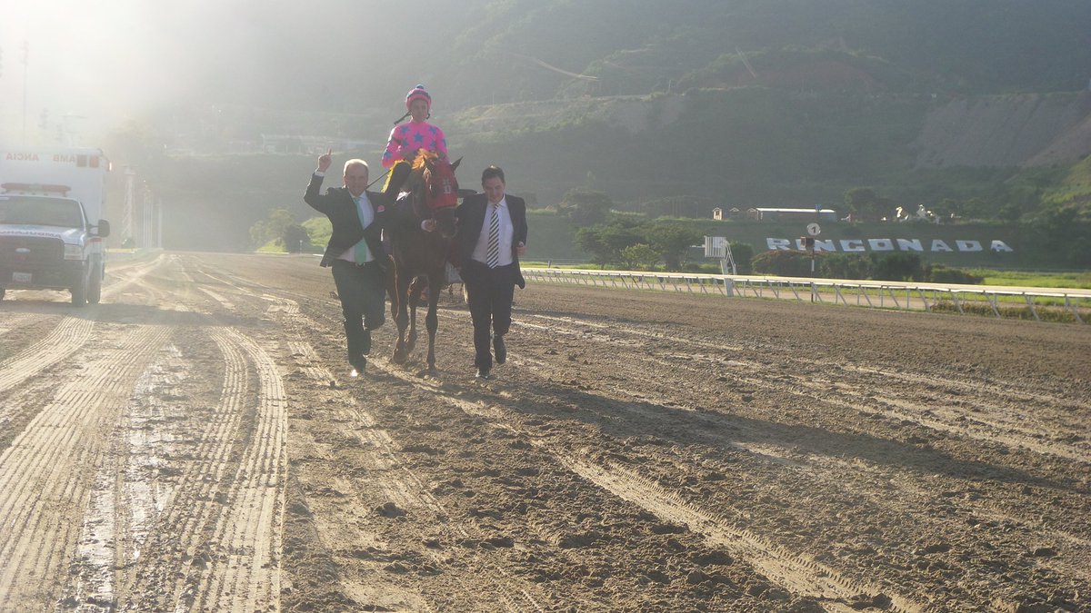 OficialINH's tweet photo. El caballo PRINCE HUMOR presentado por R. D'Angelo y conducido por C. Gil triunfó de gran forma en el #ClásJoséAntonioPáez https://t.co/qe88dimWJT