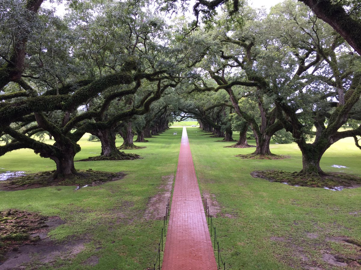 insidetravellab's tweet photo. Sleeping in Oak Alley Plantation - live on @lonelyplanet Facebook live in a few minutes. Come and join in! #DriveLsa @LouisianaTravel https://t.co/eo7c4rJGZK