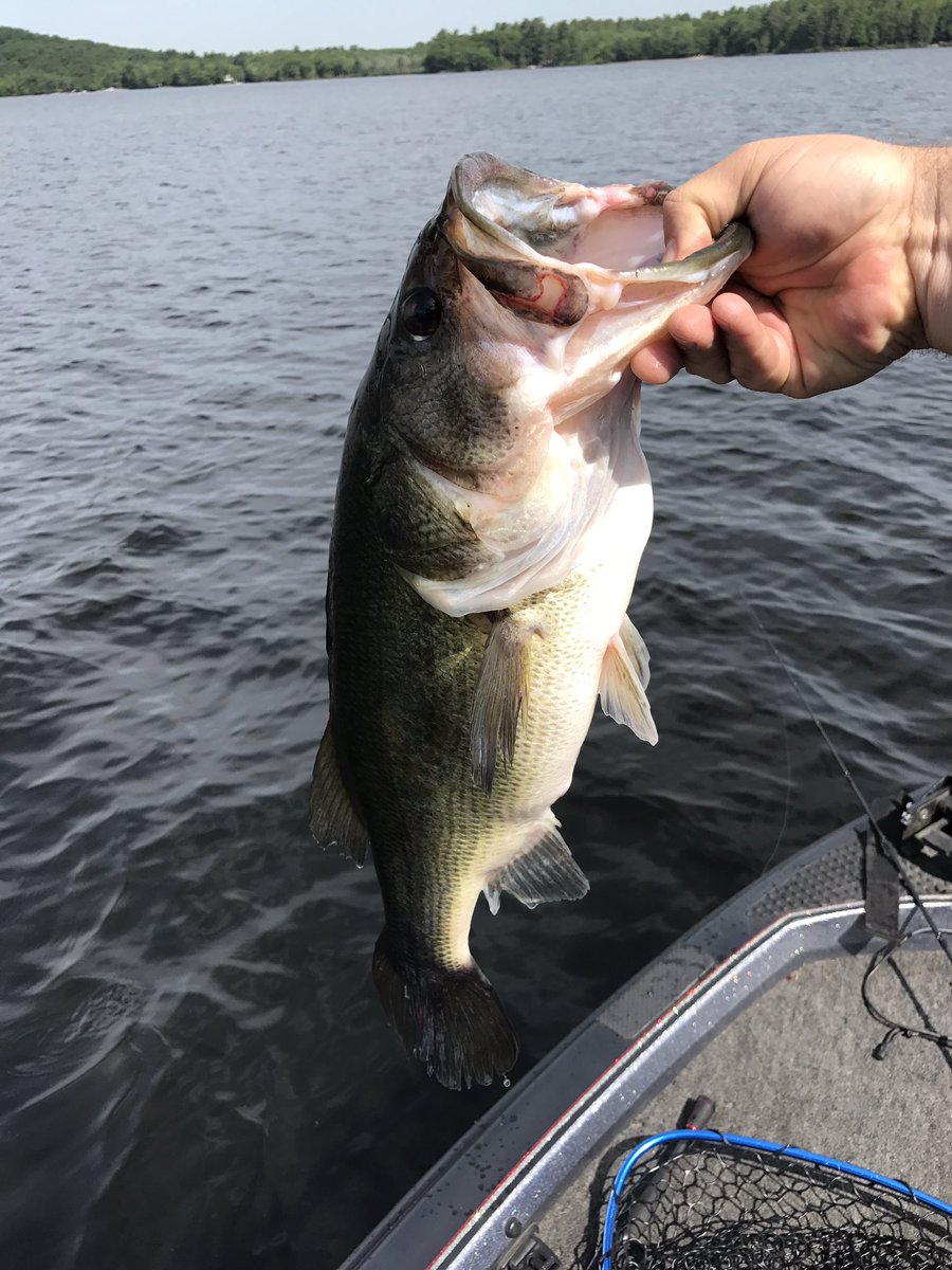 Jeff Hesketh tweet media