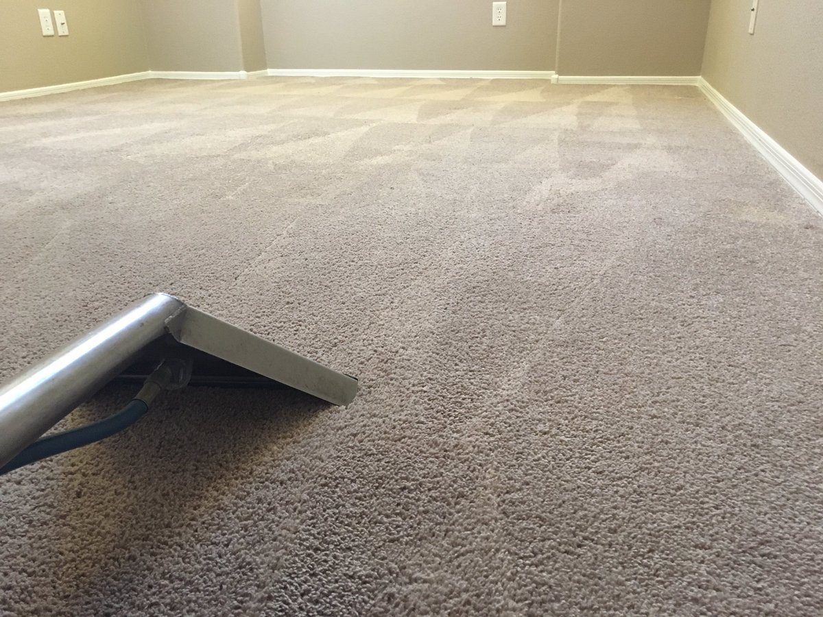 CardinlCarpetAZ's tweet photo. I will be your carpet cleaner! #Carpetcleaning #Upholsterycleaning #6026781536 #Schemmamarkup #Googlemybusiness #Seo #Sem #Uiux #Senuke https://t.co/1DnI0cXe8x