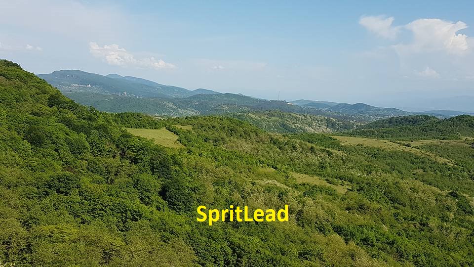 sprit_lead's tweet photo. #Sprotlead https://t.co/jbYzrocwrI