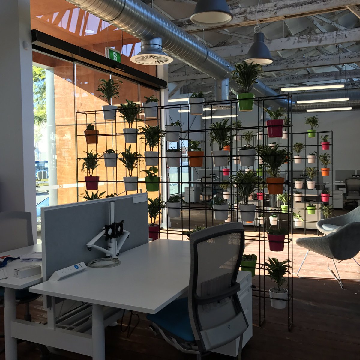 roddrury's tweet photo. First day in new @xero #hawkesbay office. Hiring another 25 people right now. Excited to be creating regional opportunities https://t.co/3R1MkRoJRt