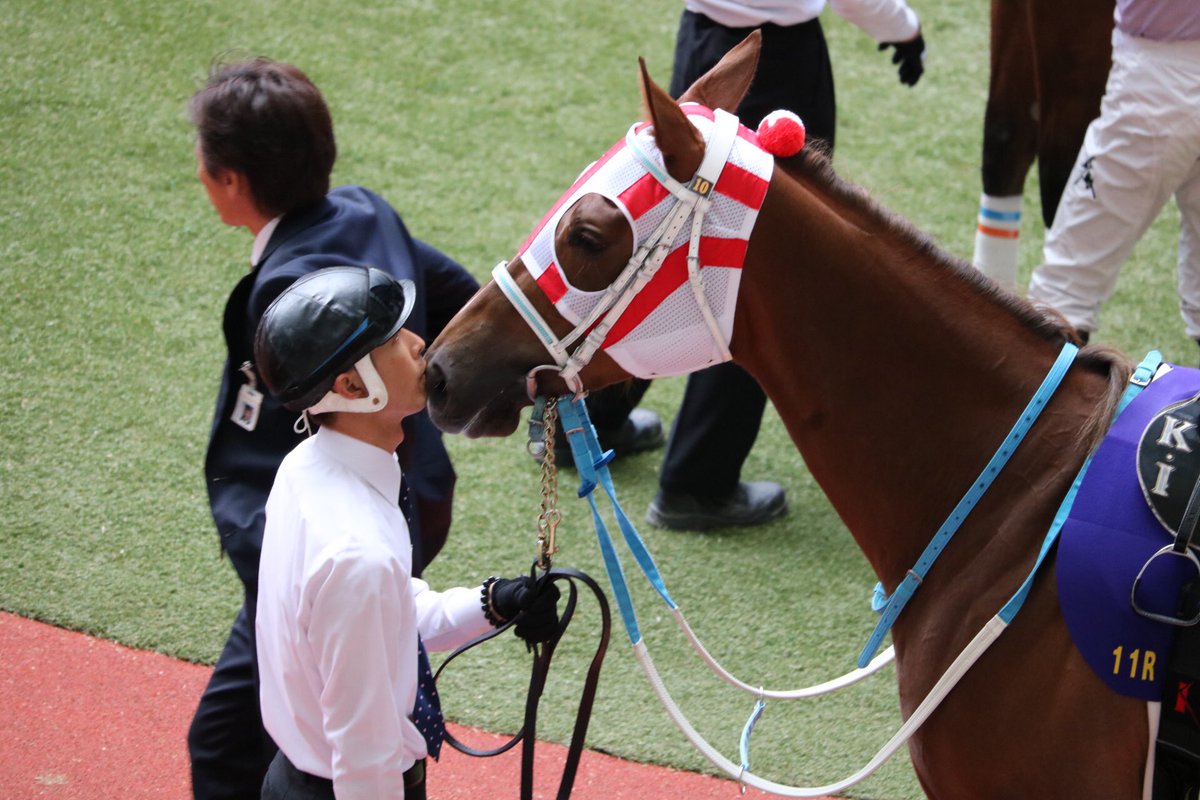 Paddock_Pferde's tweet photo. 興味がある方は一度競馬場に足を運んでみると物事の見方が変わるかも知れません。
競馬＝賭け事が総てではない、という事をお伝えしたいです☆
お馬たちの魅力や馬と人との信頼関係、深い絆に出会える場所でもあります。
気が向いたら気軽にフラッと行ってみて下さい(o^^o)
#JRA #競馬 https://t.co/xI2hQEQq4Y