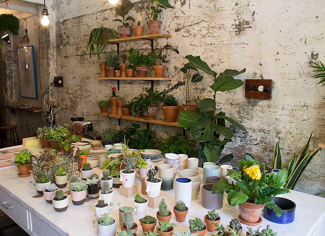 ViaBabel's tweet image. Un café entre macetas. Un nuevo concepto en la ciudad de Barcelona que renueva la floristería de toda la vida ☕️🌵 viababelblog.wixsite.com/viababel/singl…