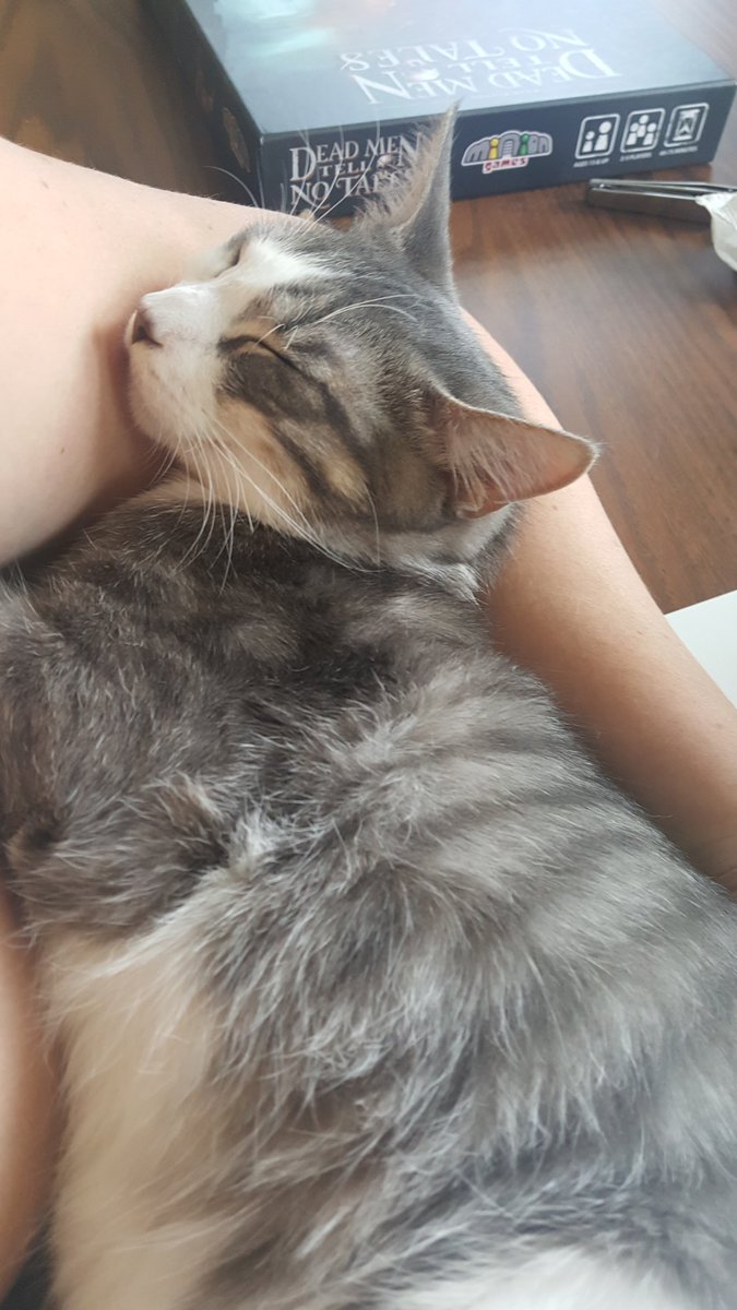 Someone just likes to cuddle!