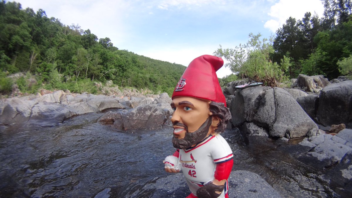 robertmdrennan's tweet photo. Bruce was spotted at #JohnsonShutIns @cardinals #BrucesTravels https://t.co/KSQF2Ce0r1