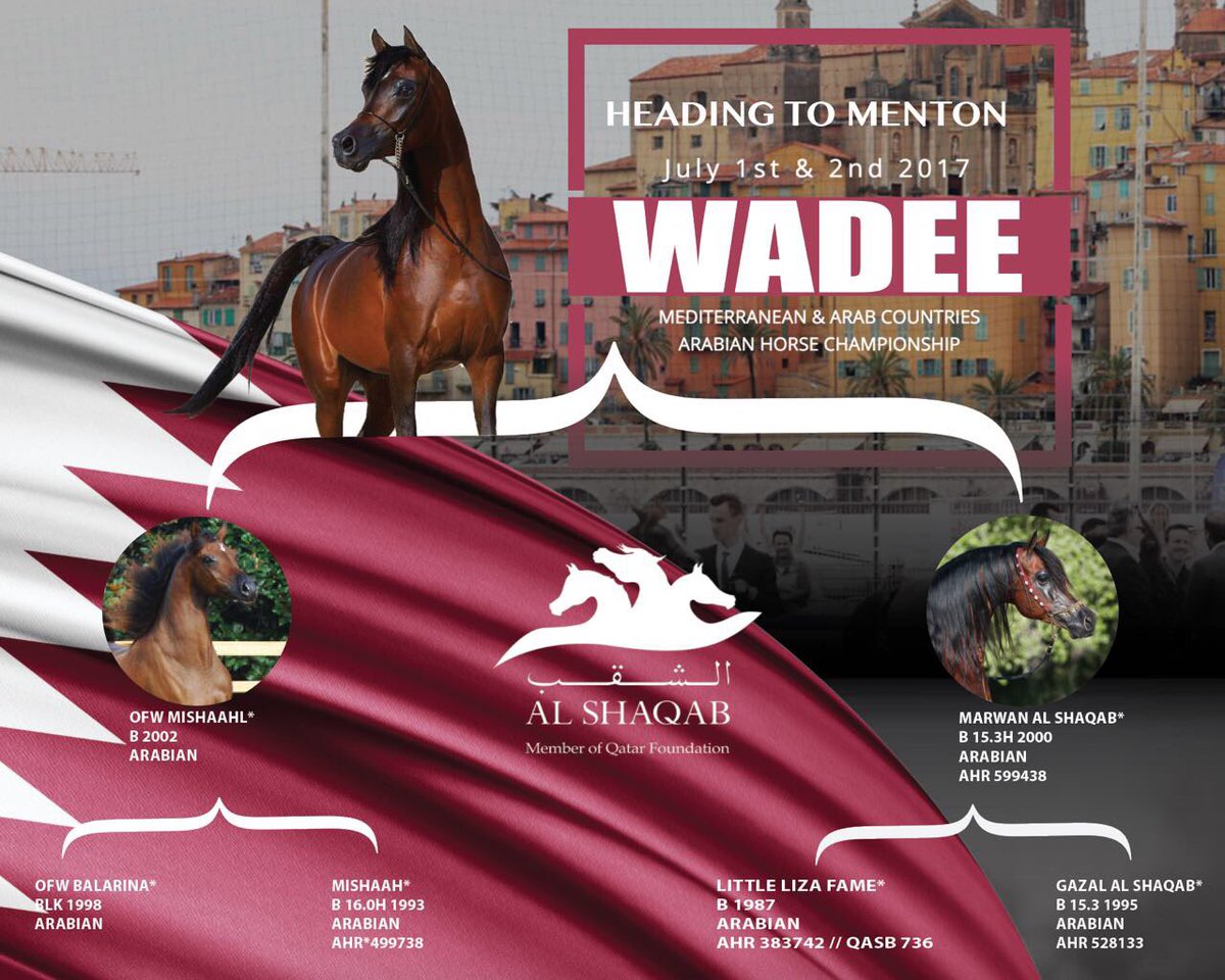 AlShaqab's tweet photo. #qatar #ramadan #qatarfoundation #Doha #welcome #wadee #ALSHAQAB #Doha#Qatar #ุงูุดูุจ #ูุทุฑ #ุงูุฏูุญุฉ https://t.co/qL57eM8HLS