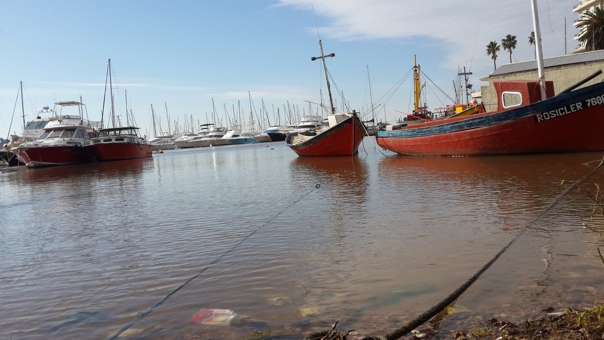 elicarrato's tweet photo. Mañana en el Puerto del Buceo https://t.co/erPPDcHC2B