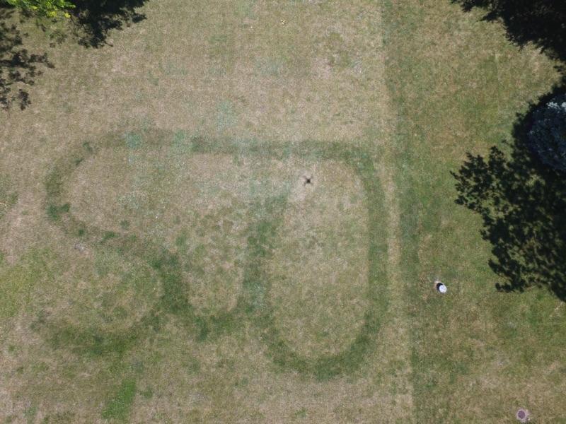 SJORunning's tweet photo. Coach McD is a STUD!  He's really good at custom lawn care! https://t.co/4qVOTOBfST