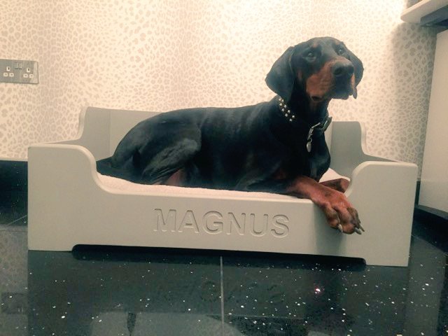kcwoodcraft's tweet photo. #brumhour our personalised handmade pet beds at https://t.co/urCyM58UUp 10% off code CARD10 or at #ebay #etsy #bespokesizes available ☺ https://t.co/HyyONlnobu