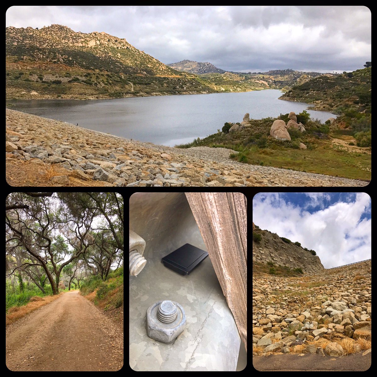 Roaming Relic tweet media