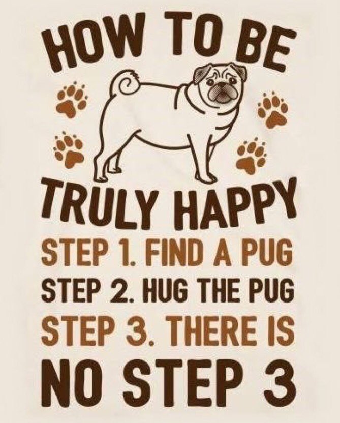 BluePugStore tweet picture