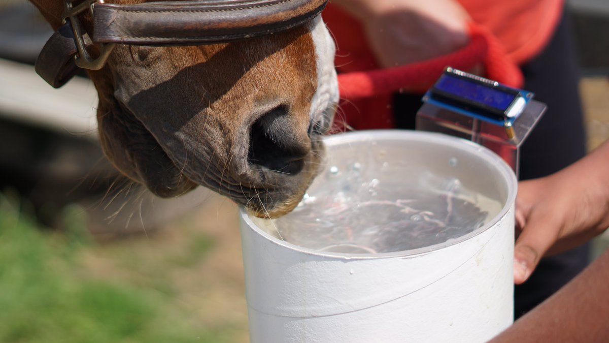 thehydrators's tweet photo. What water would YOUR horse rather drink? Inquire about our H2O post today! @firstlegoleague #20daysofinnovation #FIRSTinspires https://t.co/BK1VL6Fzn0