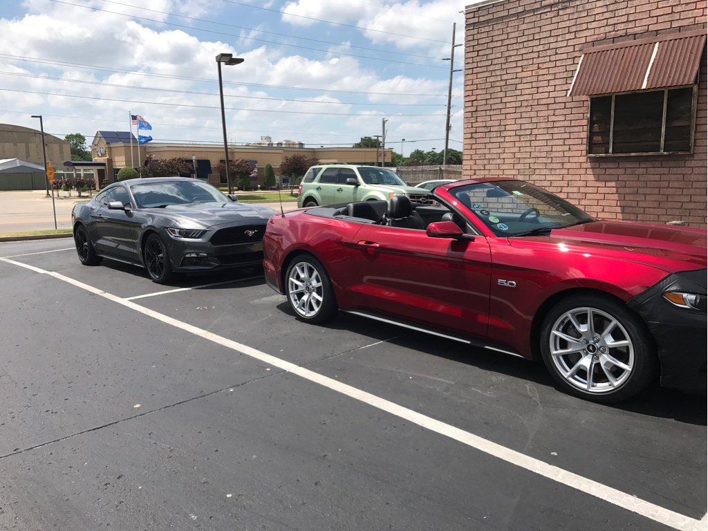 MitchLittleee's tweet photo. Dad &amp; Maegen and their hip cars. Suns out, stangs' out. https://t.co/A2d6pvmFQs
