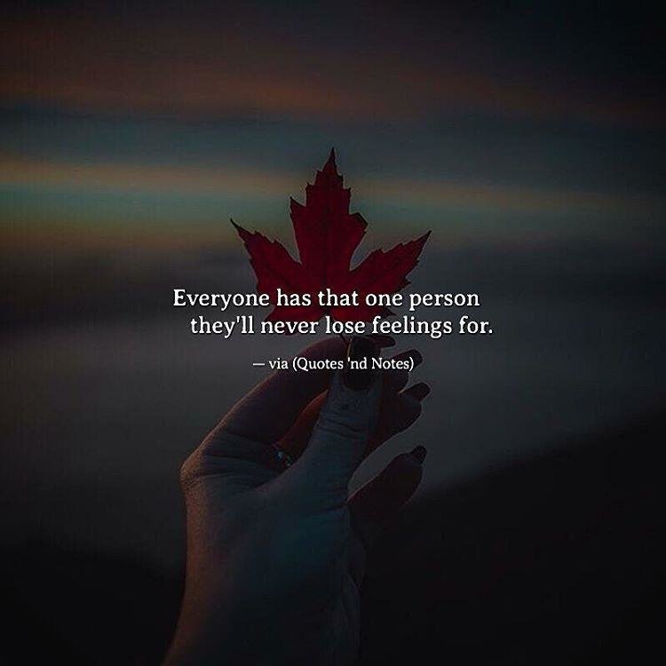 FindDailyQuotes's tweet image. 