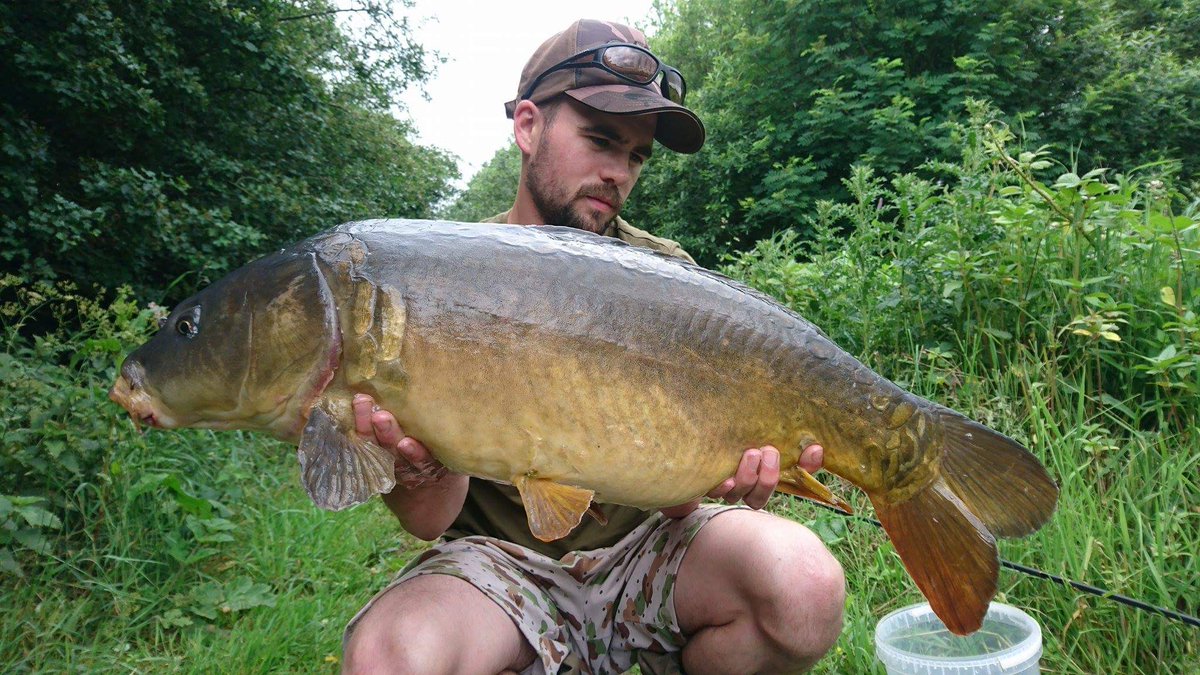 craigcarpman92's tweet photo. Starting to get to grips with this new water with the help of northern baits !! Krillers garlic nailed all 3 of these mirrors #krillers https://t.co/gWO9GENl8t
