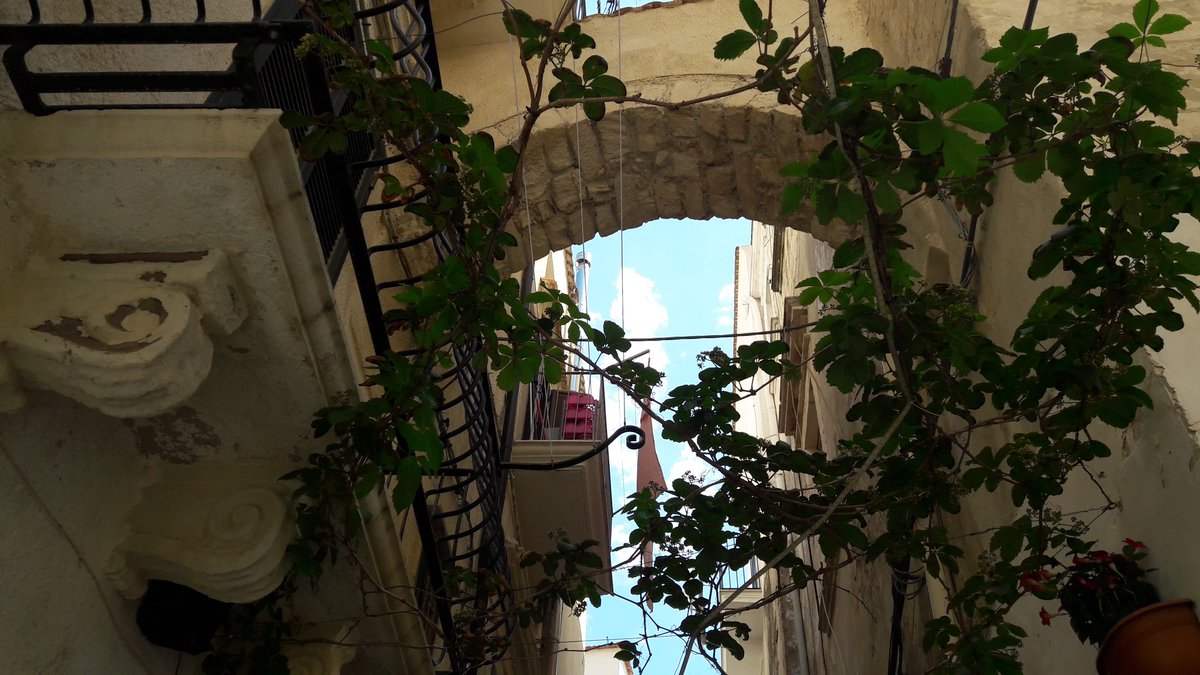CampagnaMarzia's tweet photo. Il #Gargano è un'opera d'arte. #ScorcidAutore #Vieste #senzafiltri 
@WeAreInPuglia @micheleemiliano @garganolab2_0 @effetto @WeareinGargano https://t.co/3yjiD4iNCQ