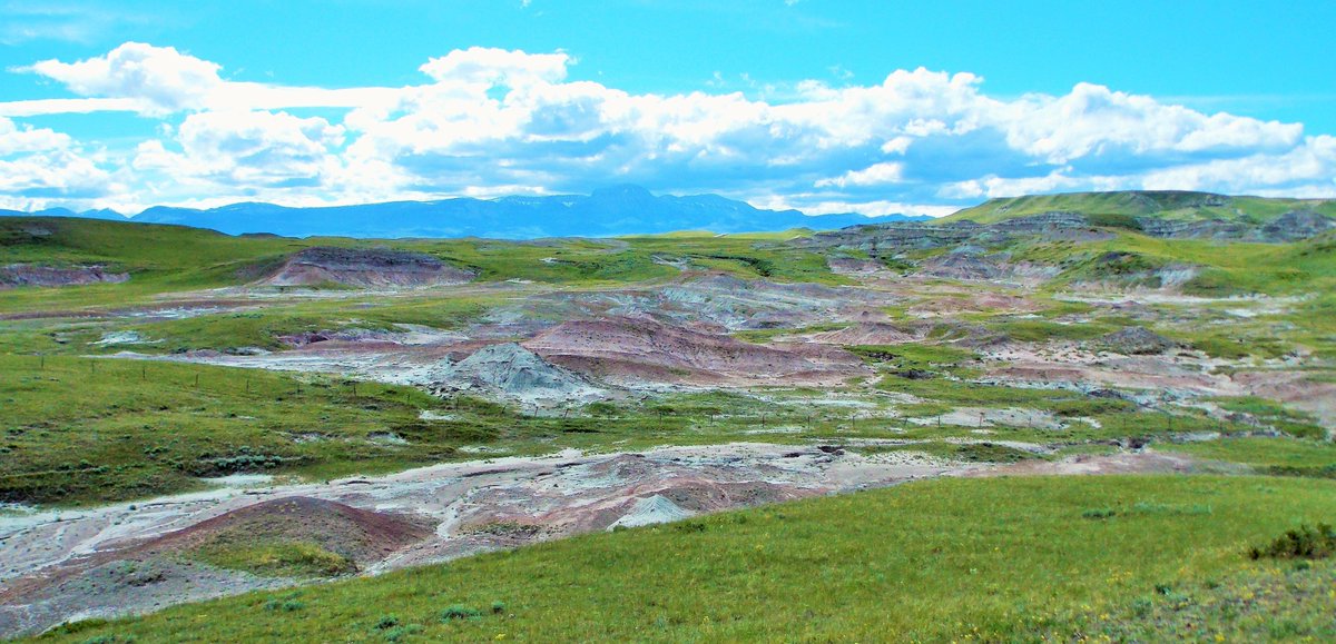 MuseumRockies's tweet photo. Beautiful two days #EggMountain #TwoMedicineFormation #BrandvoldQuarry #MORPaleo! New #Maiasaura bones, dino-eggshells, &amp; vistas! #dinosaurs https://t.co/uEWE3UPHFk