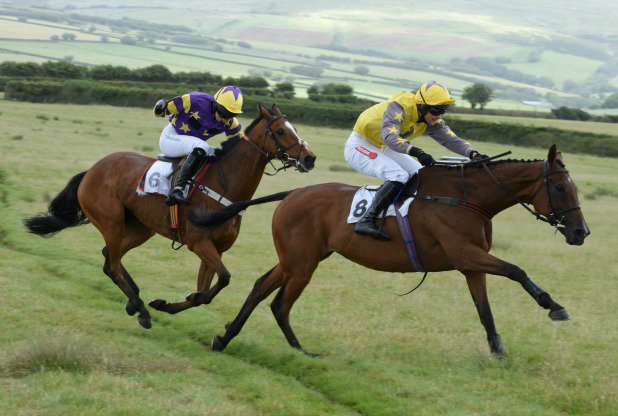 Athwenna Irons tweet media