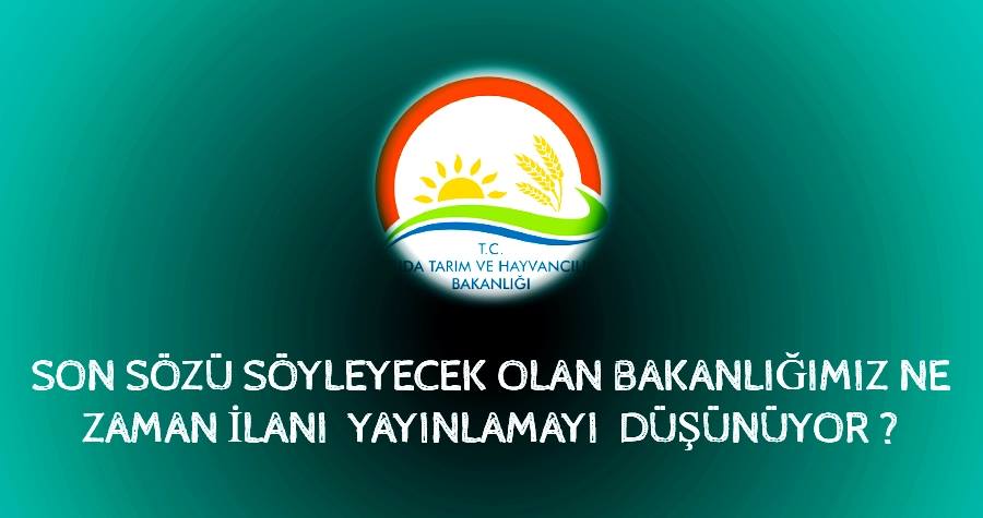 <a href="/farukcelikcomtr/">Faruk Çelik</a> Atanmak için neyi bekliyoruz bakanım #AlımAcıklansın <a href="/NusretYazici/">Doç. Dr. Nusret Yazıcı</a> <a href="/ahmttormn/">Ahmet Toraman</a> @tarimiletisim <a href="/iyildizurfa/">Av. İBRAHİM YILDIZ🇹🇷</a> #GthbİlanıYayınla #GTHB20BİN