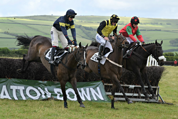 Athwenna Irons tweet media