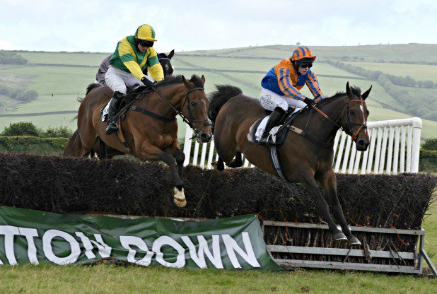 Athwenna Irons tweet media