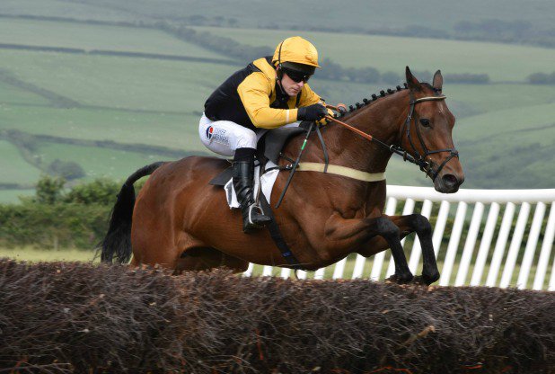 Athwenna Irons tweet media