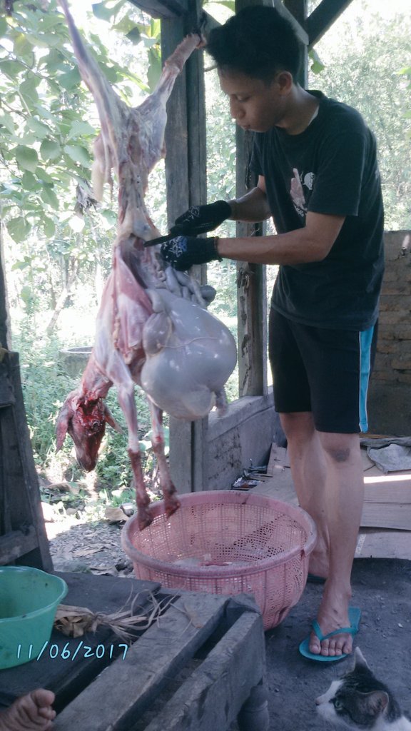 Neackragieldwe's tweet image. Mantap