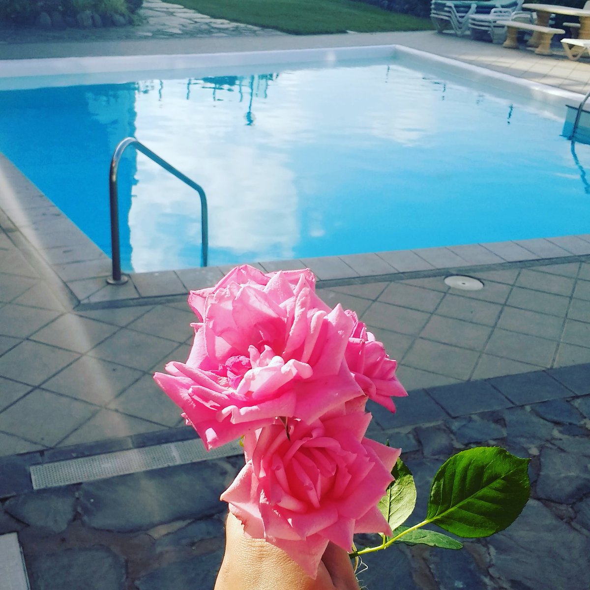 Eleine84's tweet photo. Gracias, gracias y gracias! #HappyFlower 😊🌺 #SuperCumpleFeliz #Family #Friends #HappyBirthdayToMe #BirthdayParty #MiCumple 🎂❤️🍻 #33 #Géminis https://t.co/q6PyG8cVoY