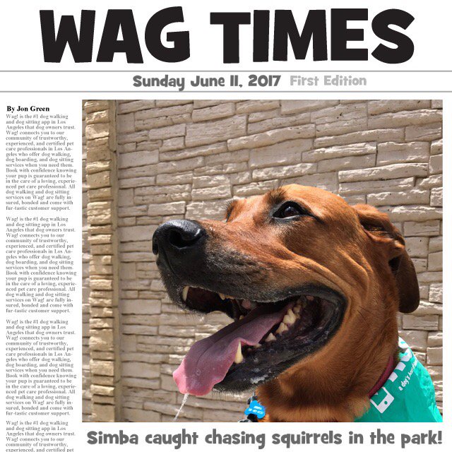 Its_smokey's tweet photo. Just got my dog walked by Wag! Thanks so much @WagWalking! https://t.co/fK3PdOPSqQ https://t.co/OvF79o3wdL