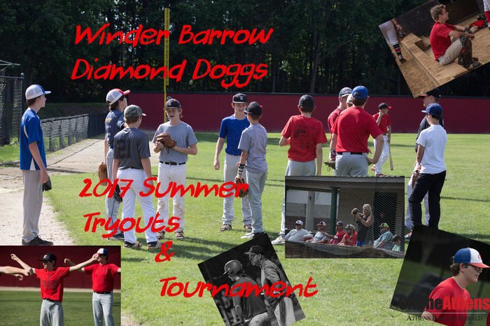 SpottedAthens's tweet photo. "Winder Barrow Diamond Doggs Summer Tryouts and Tournament" photos by Doug Bower https://t.co/xKSvapg24m #SpottedAthens #Sports #tryouts https://t.co/Tr9KR5uhcQ