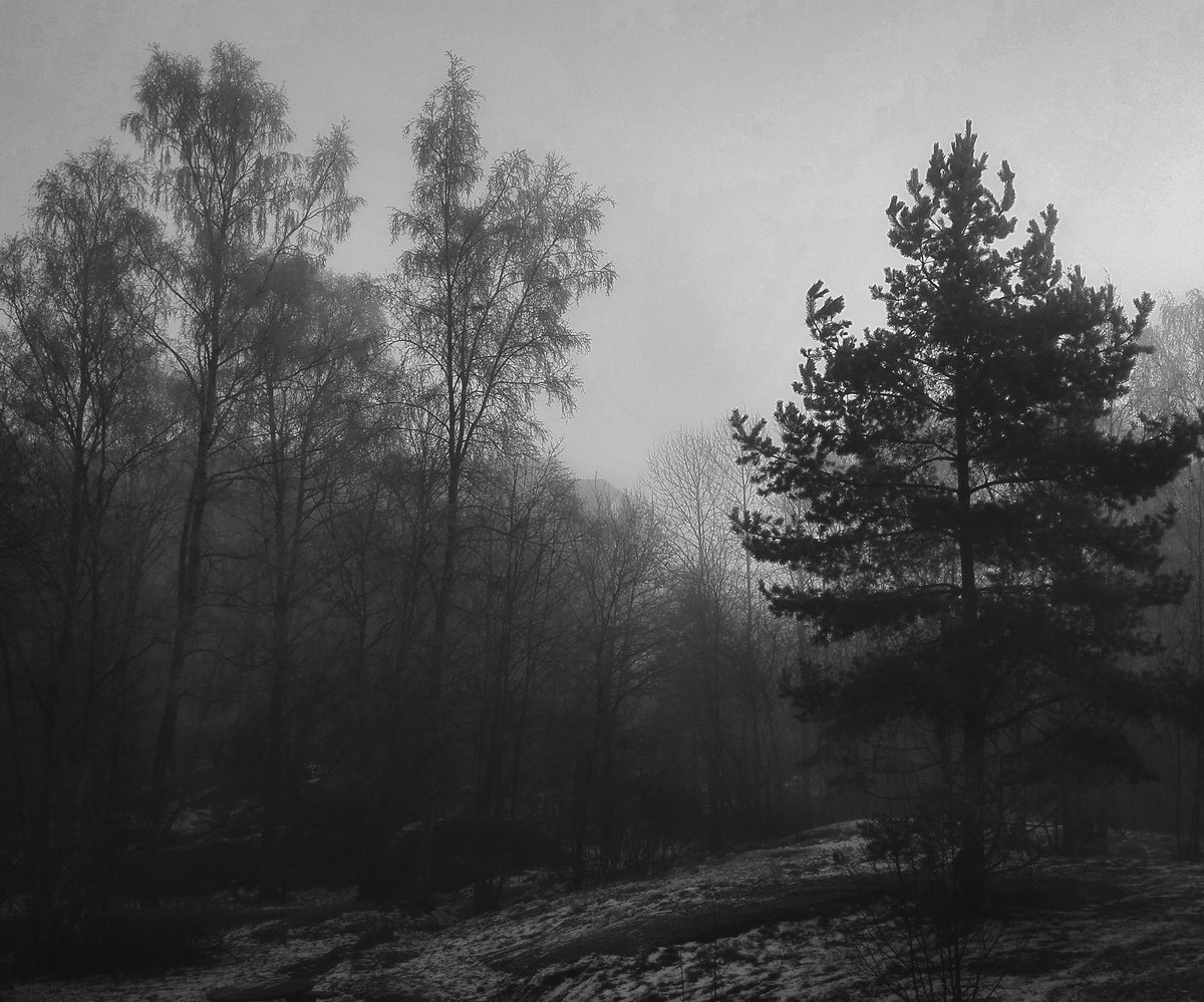 oktobernatt_'s tweet photo. Just love the sound of rain against my window.
#NaturePhotography #GrayScale https://t.co/ePrt6r8nkX
