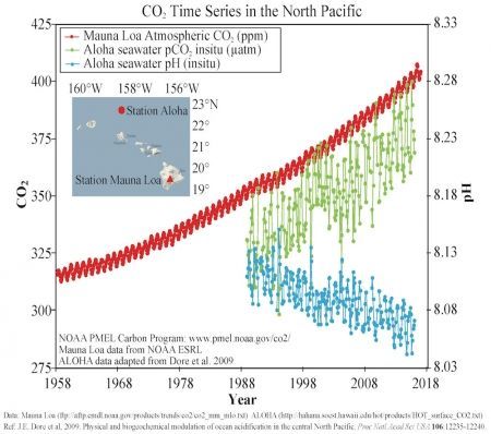 Scientists just found ocean acidification hotspots, the likes of which have rarely been seen buff.ly/2rbnusg