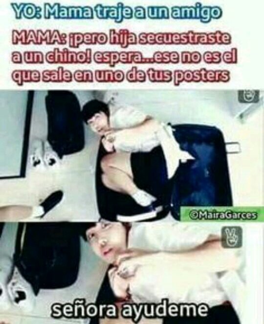 xthemanoban's tweet photo. @bryanmoufk @RenoRojasFK  https://t.co/bjCw5747ea