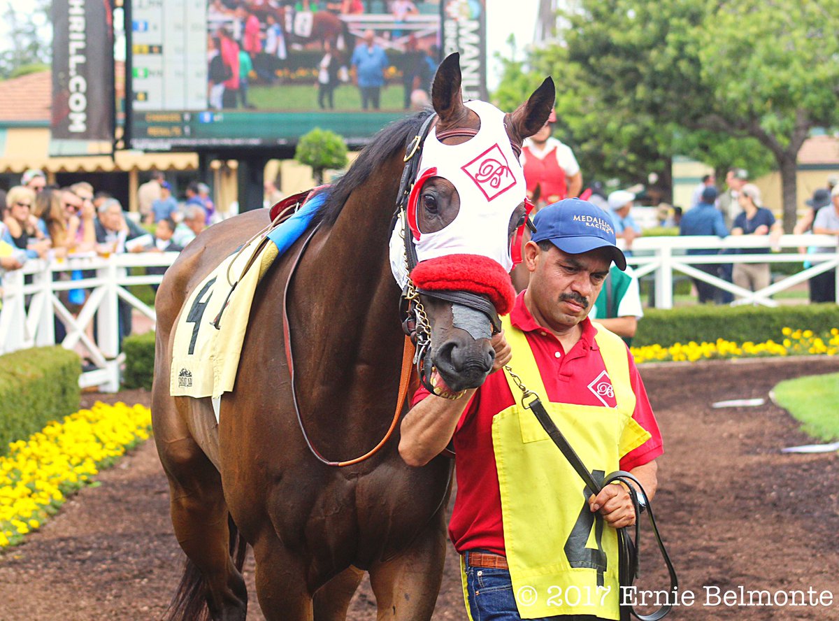 Ernie_Belmonte's tweet photo. Big Macher returns to the races a winner in the Thor's Echo Handicap. https://t.co/m5ard19pKx