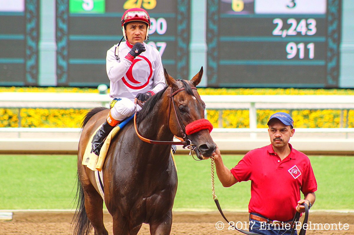 Ernie_Belmonte's tweet photo. Big Macher returns to the races a winner in the Thor's Echo Handicap. https://t.co/m5ard19pKx