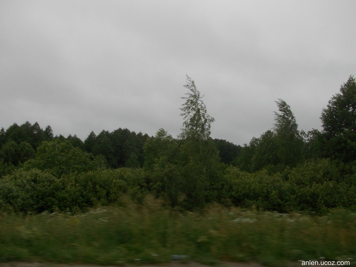 Елена Логинова (@AnurowaElena) | Twitter