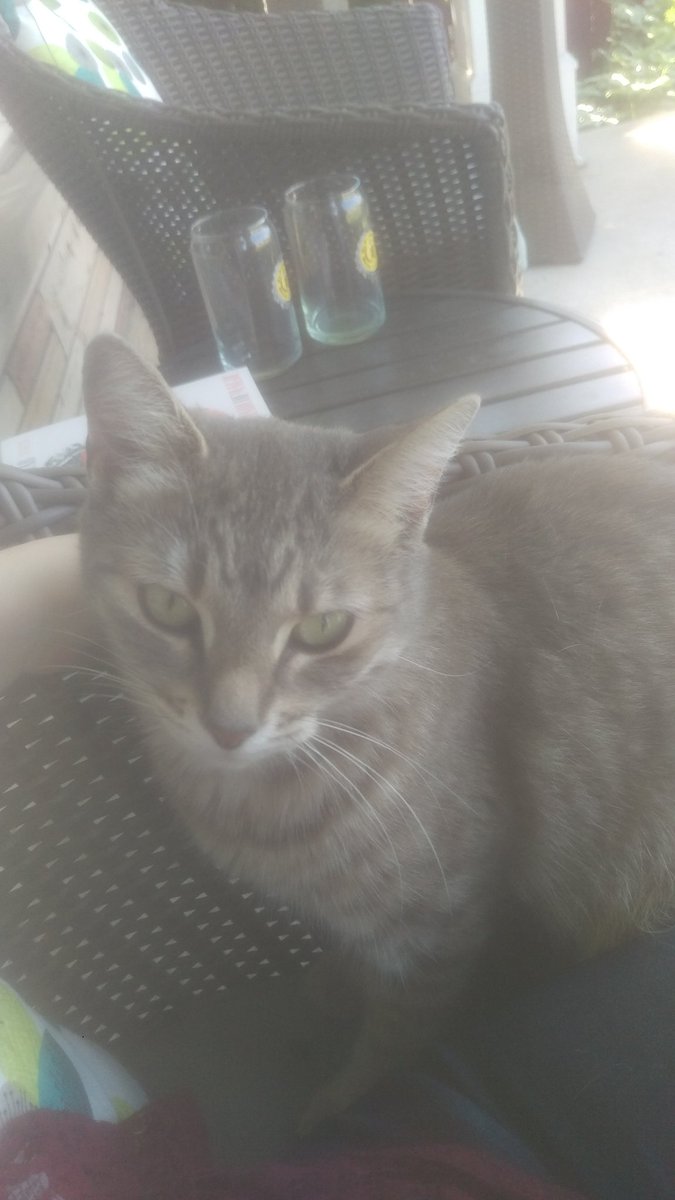 NereidesFay's tweet photo. I mean, look at this cutie. https://t.co/xbuPj9ZRIQ