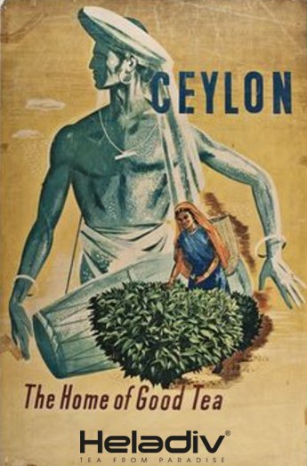From the Archives - A vintage poster advertising Ceylon Tea. This is believed to be one of the first coloured advertisements of Ceylon Tea